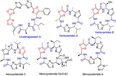 Isocyanide Reactions Toward the Synthesis of 3-(Oxazol-5-yl)Quinoline-2-Carboxamides and 5-(2-Tosylquinolin-3-yl)Oxazole